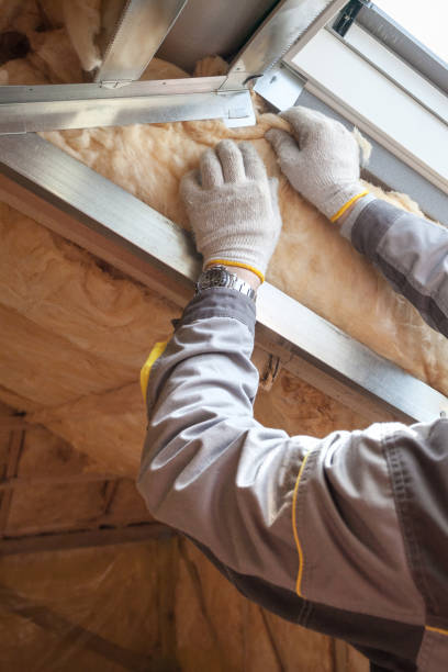 Best Insulation Maintenance and Repair in Godfrey, IL